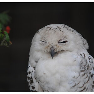 ZOO Hannover