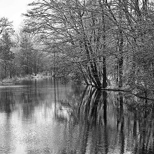 Spree Winter