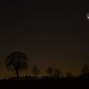 Mond