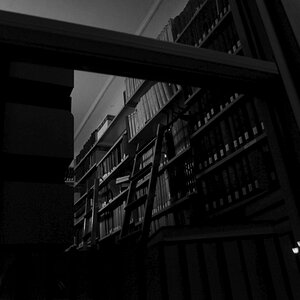DSC 8712 web crop sw