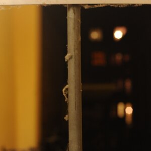 DSC 8738 web crop