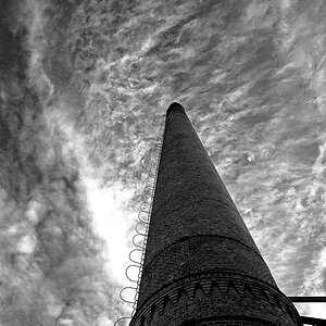 DSC2624 SW