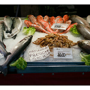 food 1007294