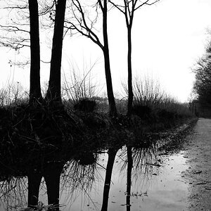 DSC 2054 nff