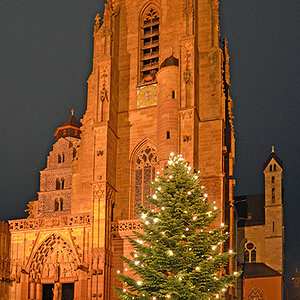 036 bearbeitet 5