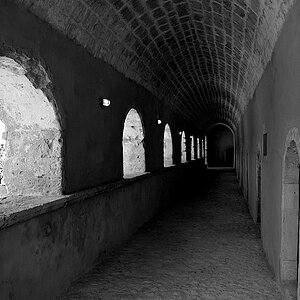 arkadi01