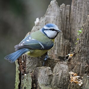 20120115 7476 [NIKON D5100] 200 mm,1 60 Sek. bei ƒ   5,6