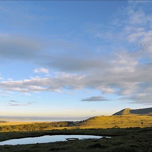 acomp Kenia 20111013 05358