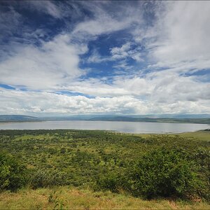 acomp Kenia 20111012 03031a