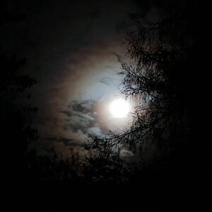 20111208 Mond