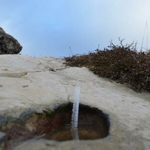 Wasser wächst nach oben