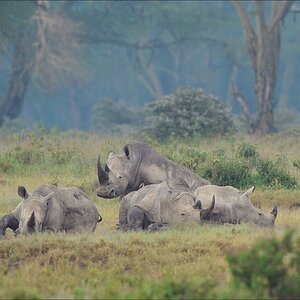 acomp Kenia 20111012 02200a