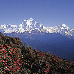 Nepal 1998 JE Dhaulagiri 473 NFF