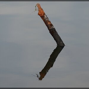 Spiegelung#