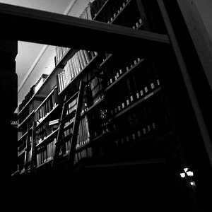 Heidelberg fenster