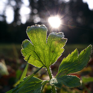 20111208 142140 1024