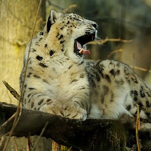 20120115 11 Zoo Rostock