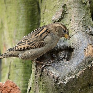 20111210 6429 [NIKON D5100] 180 mm,1 60 Sek. bei ƒ   5,6 2
