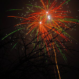 Silvester klein   02