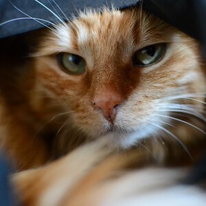 AF-S DX 35mm/1.8
D3100
F1.8
1/60sec
ISO 3200