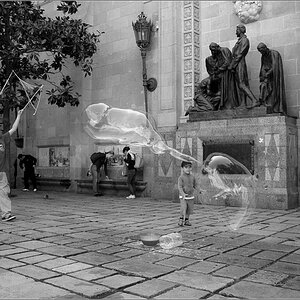 Barcce bw