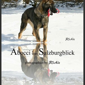 Abocci spielt