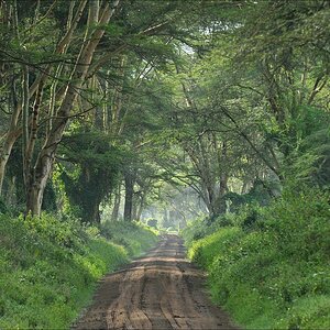 acomp Kenia 20111012 04851