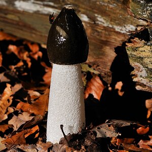 comp2pilz 2835
