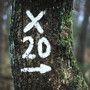 comp2x20 3393