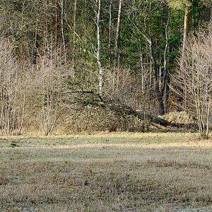 Briese Wiese 0029 120115 1024x686 90