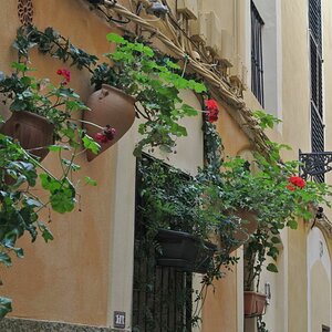 Palma de Mallorca