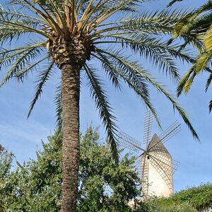 Palma de Mallorca