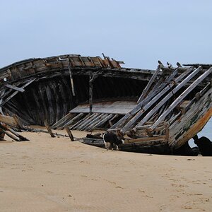 Wrack bei Etel in der Bretagne