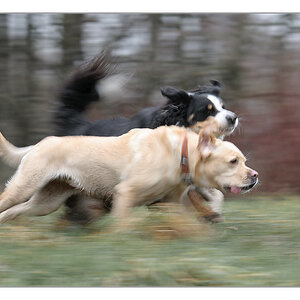 Mitzieher Lucy und Sina 1
