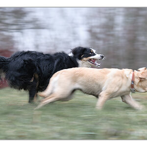 Mitzieher Lucy und Sina 2