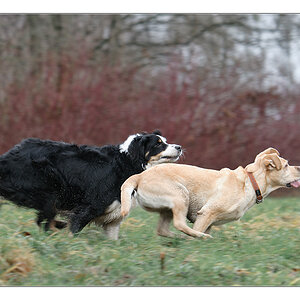 Mitzieher Lucy und Sina 3