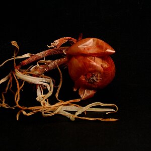 xDSC 0760