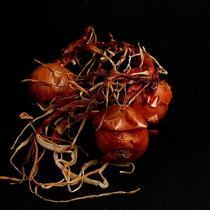 xDSC 0765