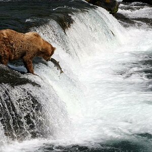 Canon Alaska Chip 1 360(2)