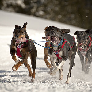 Speed   Sabine