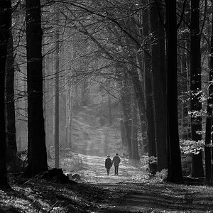DSC 8094 bearbeitet klein B&W