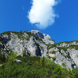 L1003642 4