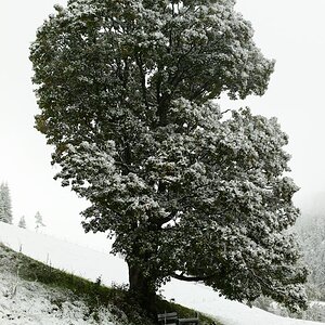 L1003810 7