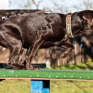20120103 DSC 7344