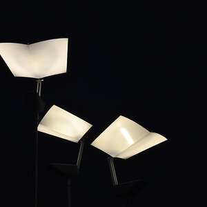 licht