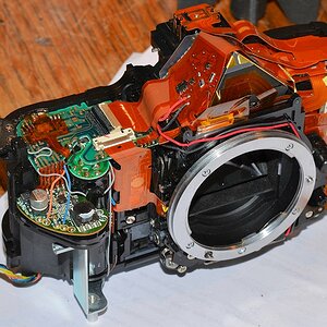 DSC04735