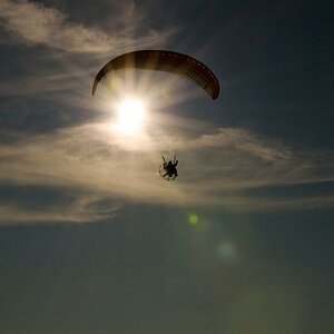 Fliegen