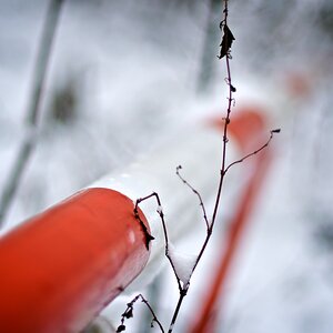 Eine Schranke als Kontrast zum grauen Winterwald