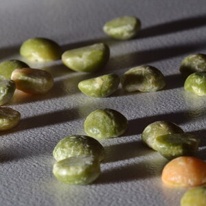 2011 11 16 Food 3238 PS