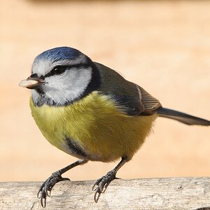 20120114 1506 [NIKON 1 V1] 310 mm,1 320 Sek. bei ƒ   5,6 2